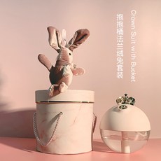 여자 친구 선물 기념일 가습기 자주 미로 피오 무지 신생아 비염 생일, 허그 버킷 패러데이 버니 + 노르딕 파우더