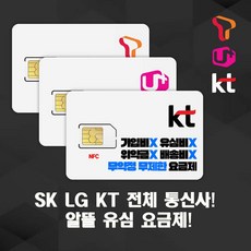 SK LG KT 각통신사 알뜰폰유심 알뜰폰요금제 무약정 무제한요금제 후불유심 셀프개통 NFC