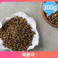 산들해복분자