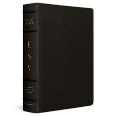 ESV 스터디 바이블 영어 원서 소 가죽 커버