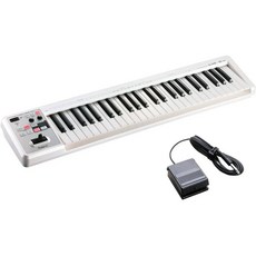 Roland A-49 건반 DP-2 페달 세트 MIDI 키보드, A-49 화이트