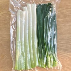 쪽파 TOP01
