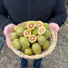 국내산 제주 제철 고당도 레드키위 홍다래 속빨간 홍키위, 레드키위 중과 5kg, 1개