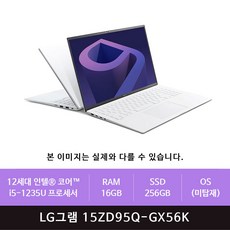 LG그램 15ZD95Q-GX56K i5/16GB/256GB/