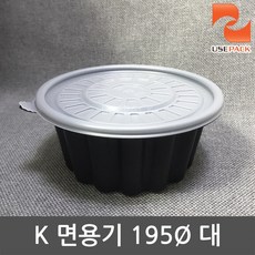 195파이대