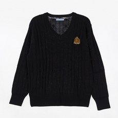 일산대진고니트