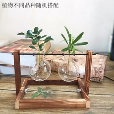 57323b75d4d7383afde6c9c487f3c710bfc537b4681791366ee6d81c6bcb.jpg