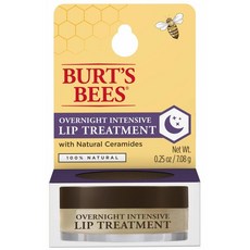 Burts Bees Overnight Intensive Lip Treatment 버츠비 오버나이트 립 트리트먼트 케어 0.25oz(7g) 2팩, 1개, 단색