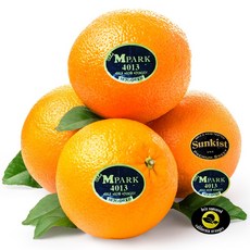 오렌지, 1개, 고당도 블랙라벨 오렌지 중대과 30개입(7kg내외)