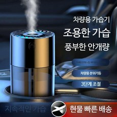 차량용공기청정기 자동차 제거 냄새 필터 휴대용 음이온 미니 소형 발생기 스마트가습기 디퓨저 포름알데히드, S10 아로마 가습기 (단일 기계), 1개