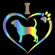 구미캠핑카대여