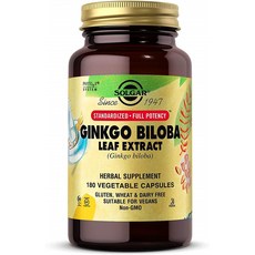 Solgar Standardized Full Potency Ginkgo Biloba Leaf Extract 솔가 징코 빌로바 리프 추출물 180캡슐, 1개