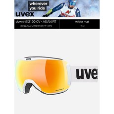 우벡스주니어스키고글