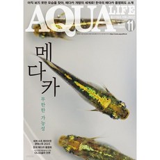 [책서가] 아쿠아 라이프 (2023년 11월호)