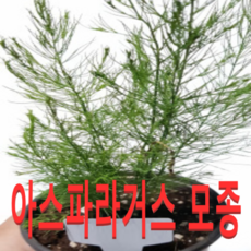 287ee0ddd41c36fed3dc724e809e4ce764d947f98c7e9de9c1c38046ac3c.png