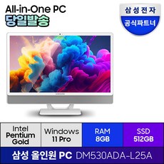 삼성전자 올인원 일체형 PC 프로스트 화이트 DM530ADA-L25A (펜티엄골드 7505 60.5cm WIN11 Pro) 기업용 사무용 학습용