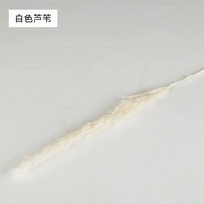 d7a5202647bb1de5d8128f23261a88085683809b314c60d79910d89bae06.jpg