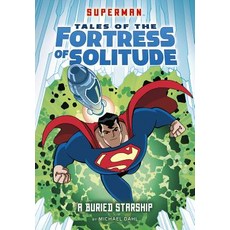 A Buried Starship Hardcover, Stone Arch Books