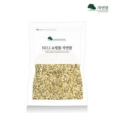 2022년산국산햇녹두