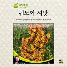 세계종묘 퀴노아 씨앗 2g, 1개