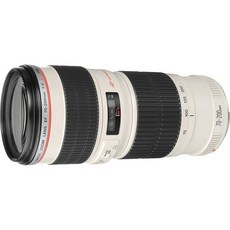 Canon EF 70 – 200 mm f 4l USM 망원 줌 렌즈 for Canon SLR Cameras 국제 버전 보증( no )