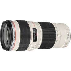 Canon EF 70 – 200 mm f 4l USM 망원 줌 렌즈 for Canon SLR Cameras 국제 버전 보증( no )