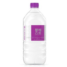 몽베스트 탄산음료 라임, 500ml, 인천