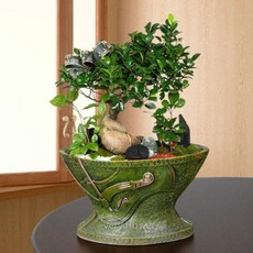 푸시아베리플라워