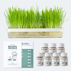 키트니수경재배