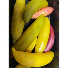 프리미엄 싱싱탱글 상큼톡톡 냉동 핑거라임, 1개, 260g