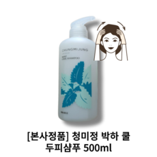 청소년샴푸 [청미정 박하 쿨 두피샴푸 500ml] 시원한 세정감 상쾌 청량 민감한 가려운 두피 세정 쿨링 지성, 500ml, 2개