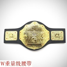 wwe챔피언벨트