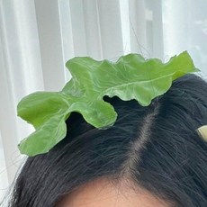 특이한 상추 마늘 머리집게핀 헤어 액세서리 머리핀