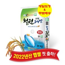 철원래프팅