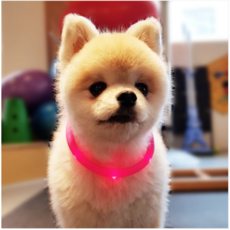 견심 애견 야간목줄 LED목줄 안전목줄 충전식 강아지야광목줄 고급실리콘 전견종 착용가능, 핑크