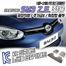 sm3전기차젠더