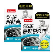 불스원 폴라패밀리 살라딘 에어컨 히터 탈취 훈증캔 민트향 본품, 2개, 5g