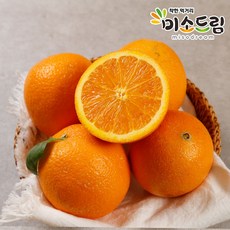 nm-023오렌지레자