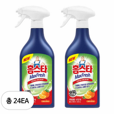 홈스타 맥스프레쉬 주방용 세정제, 500ml, 24개