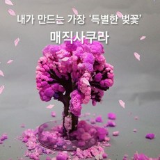 [갓샵] 매직 사쿠라 요술 벚꽃나무 인테리어 소품, 1개 - 아시아골드벚꽃