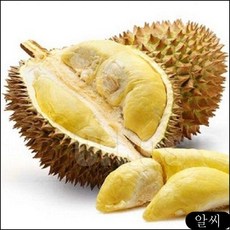 //상품명