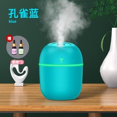 가습기루프트럼