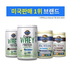 라이프스포츠