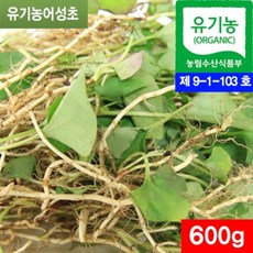 어성초생초생뿌리 600g - 유기농 어성초생뿌리