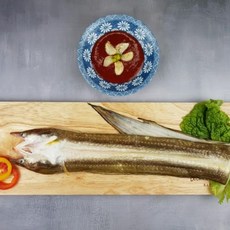 반건조바다장어