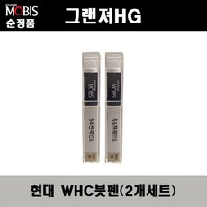 hg300순정앰프