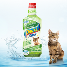 고양이치주염약