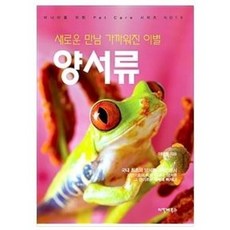 렘군책이북