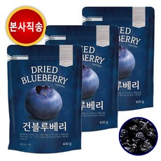 건블루베리 400g x 3봉 프리미엄 블루베리 정품 본사직송, 1.2kg(400g x 3봉), 1세트