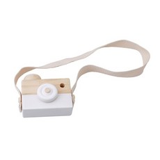 마인그라피토이카메라